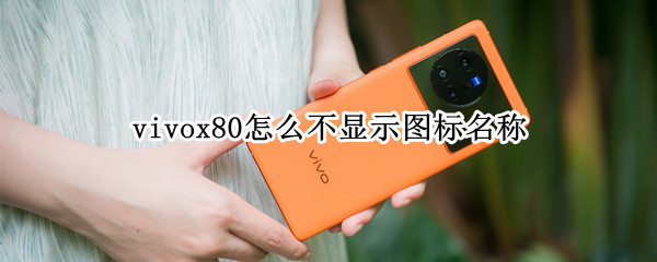 vivox80怎么不显示图标名称 vivo桌面不显示图标