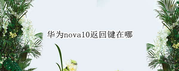 华为nova10返回键在哪 华为手机nova20的返回键在哪里