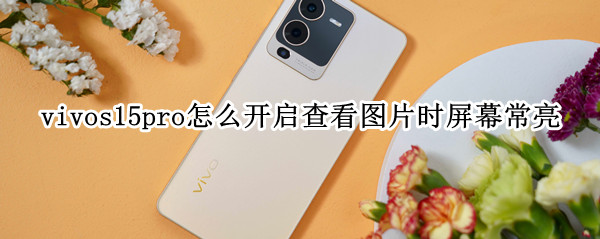 vivos15pro怎么开启查看图片时屏幕常亮（vivo怎么显示照片时间）