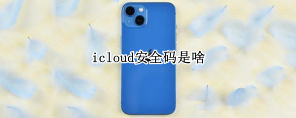 icloud安全码是啥（Icloud安全码是什么）