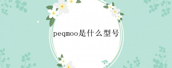 peqmoo是什么型号（peqmoo多少钱）