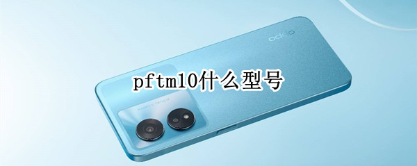 pftm10什么型号