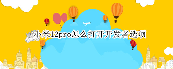 小米12pro怎么打开开发者选项（小米12的开发者选项在哪里打开）