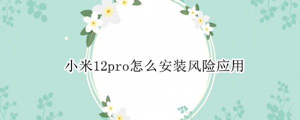 小米12pro怎么安装风险应用 小米11安装软件风险提示