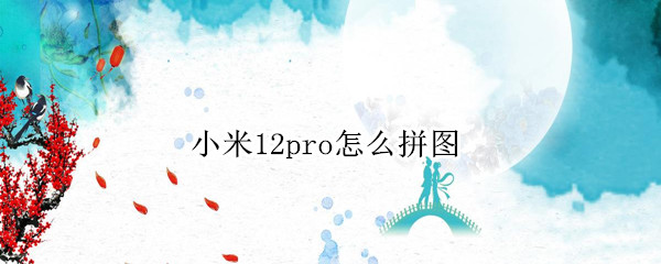 小米12pro怎么拼图（小米10pro怎么拼图）