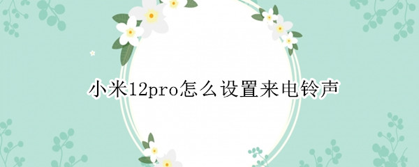 小米12pro怎么设置来电铃声 小米11pro怎么设置来电铃声