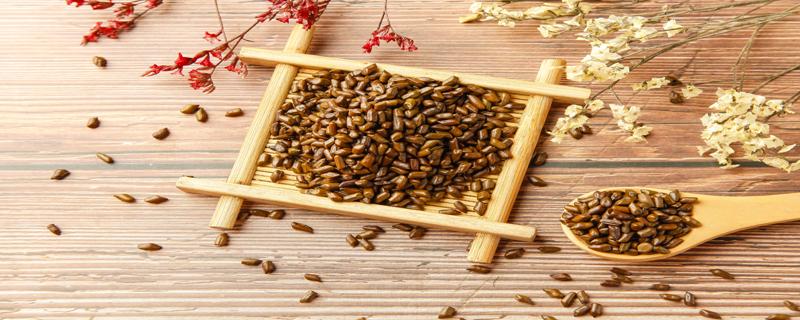 泡决明子喝有什么好处（泡决明子喝有什么好处和坏处）