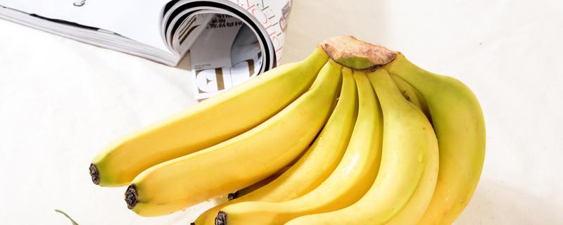 香蕉与芭蕉的区别（香蕉与芭蕉的区别图片）