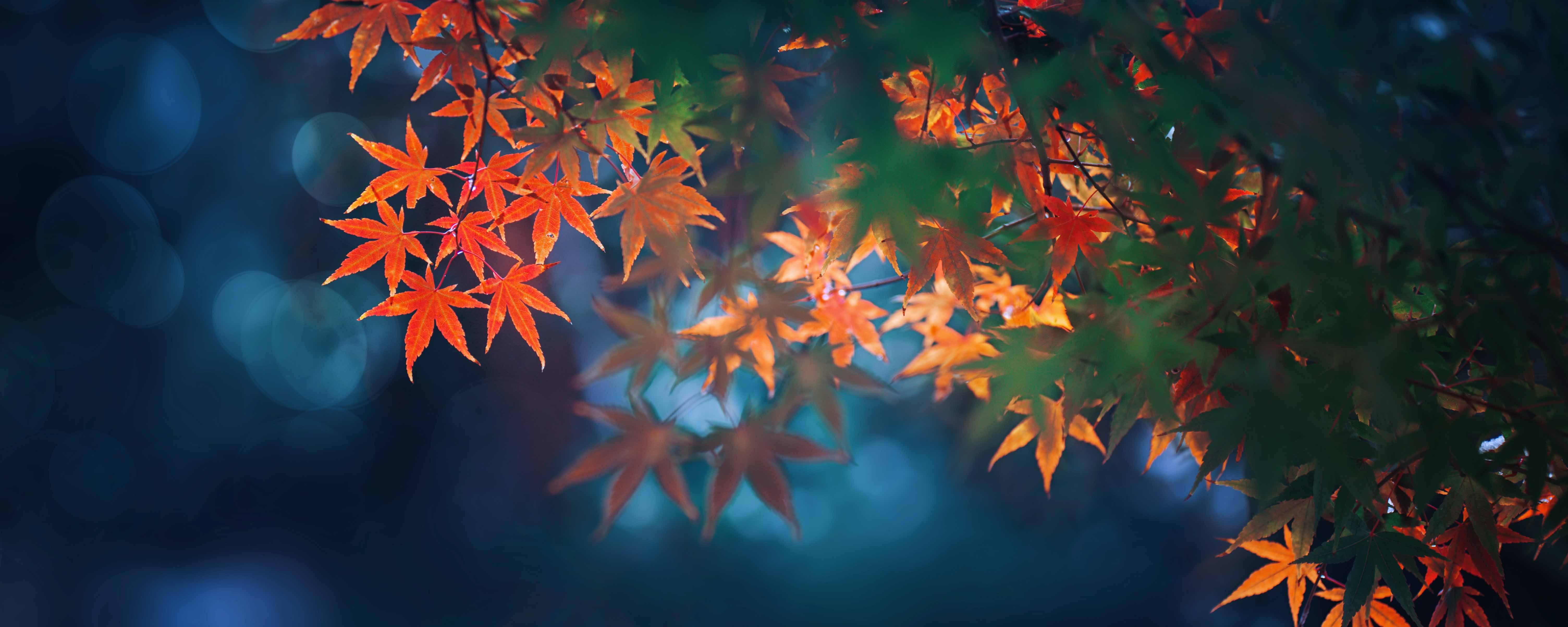 立秋后吃什么食物好（立秋后吃什么食物好对身体好）