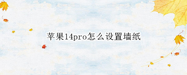 苹果14pro怎么设置墙纸 苹果ios14怎么设置壁纸