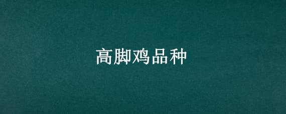 高脚鸡品种