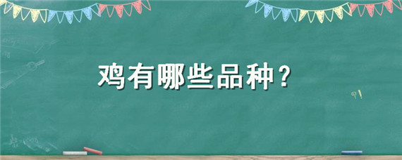 鸡有哪些品种