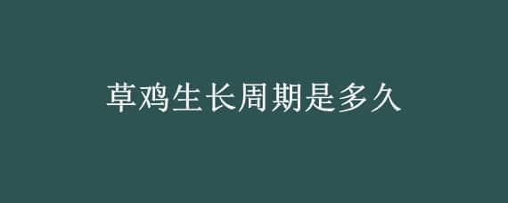 草鸡生长周期是多久（草鸡要养多长时间）