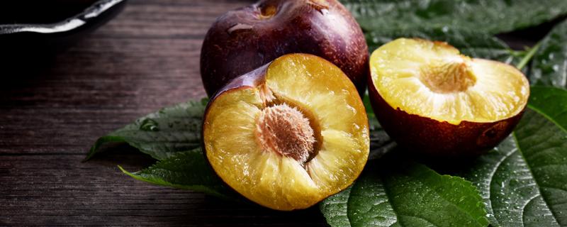 李子的功效与营养价值 李子的功效和营养价值