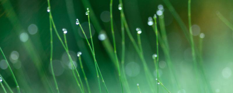 2022年寒露节气是几月几日（2022年寒露节气是几月几日开始）