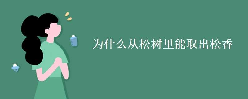 为什么从松树里能取出松香