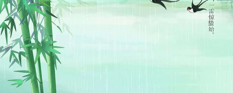 小型观赏竹子有哪些品种 常见竹子的品种