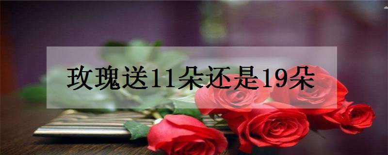 玫瑰送11朵还是19朵（玫瑰送11朵还是19朵多少钱）