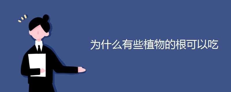 为什么有些植物的根可以吃 为什么植物有根才能生长