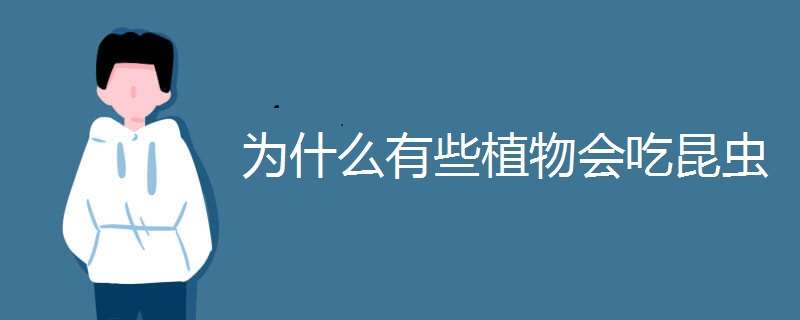 为什么有些植物会吃昆虫 为什么有些植物会吃昆虫打一生肖