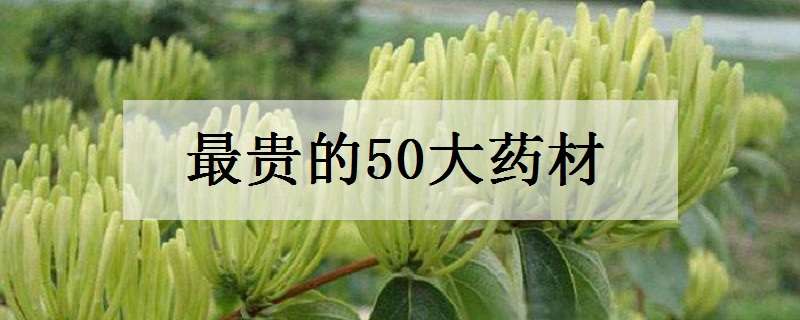 最贵的50大药材（最贵的50大药材图片名字介绍）