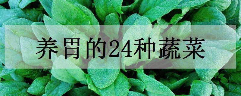 养胃的24种蔬菜