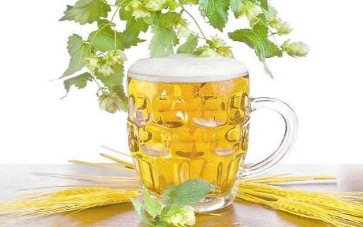 过期啤酒浇花适合哪些植物 有哪些效果
