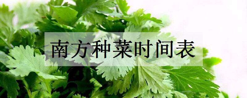 南方种菜时间表 南方种菜时间表图片