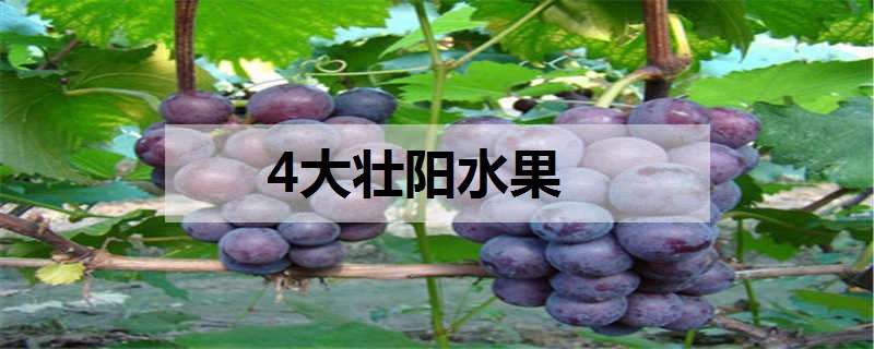 4大壮阳水果