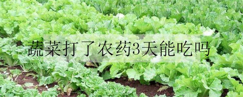 蔬菜打了农药3天能吃吗（蔬菜打了农药3天能吃吗十个月的宝宝）