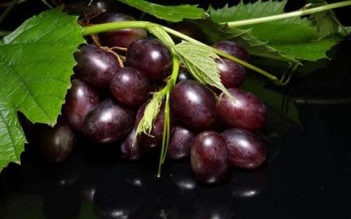 最贵的八种葡萄是什么 最贵的葡萄品种是什么品种
