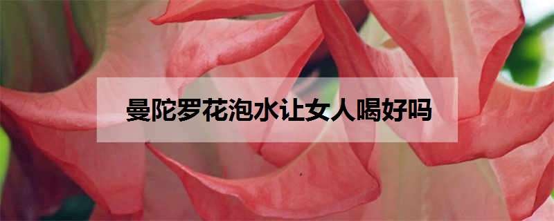 曼陀罗花泡水让女人喝好吗（曼陀罗花泡水让女人喝会怎么样）