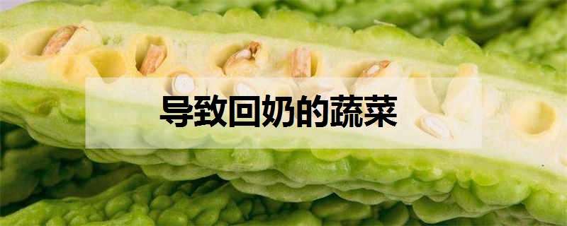 导致回奶的蔬菜