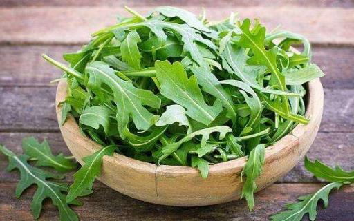 芝麻菜的功效与作用 芝麻菜的功效与作用以及食用禁忌