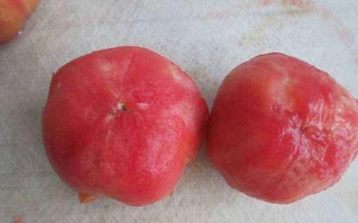 西红柿如何去皮 西红柿如何去皮切小块