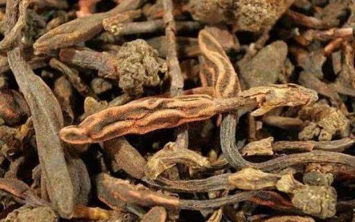 十大紧缺药材 珍稀名贵药材品种 十大紧缺药材 珍稀名贵药材品种