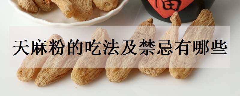 天麻粉的吃法及禁忌有哪些 天麻粉正确吃法