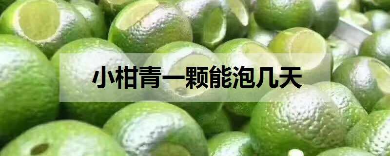 小柑青一颗能泡几天（小青柑一般泡几分钟）