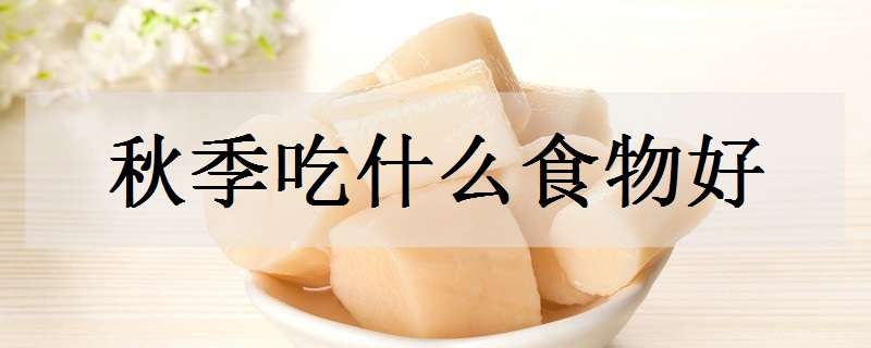 秋季吃什么食物好（秋季吃什么食物好菜谱窍门）