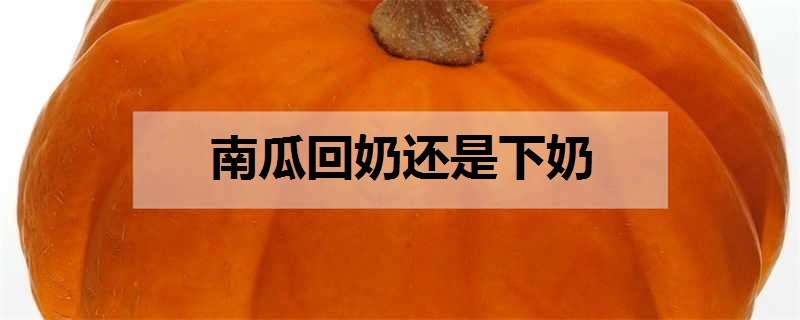 南瓜回奶还是下奶 奶突然不涨变得松软了怎么办