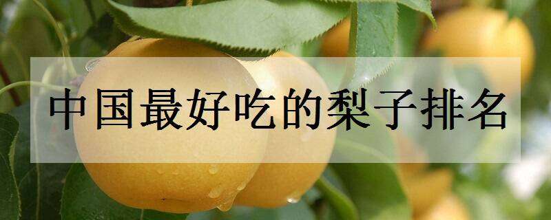 中国最好吃的梨子排名 中国什么梨最好吃