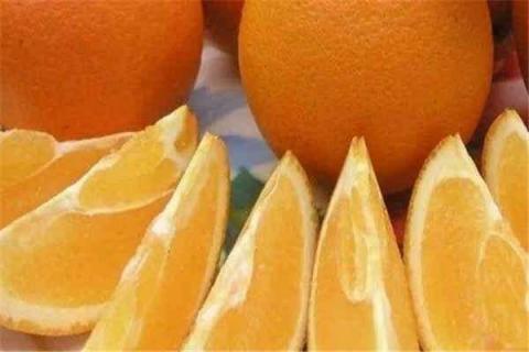 中国十大名橙排名 中国十大名橙排名第一