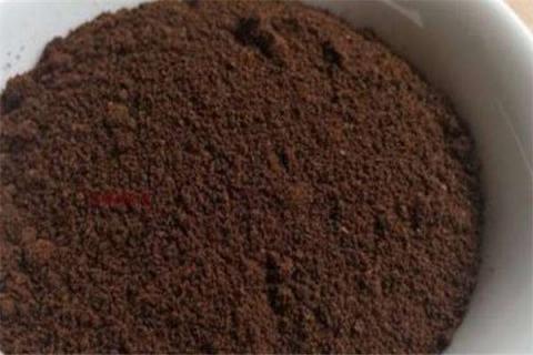 咖啡粉可以做肥料吗（咖啡粉可以做肥料吗怎么做）