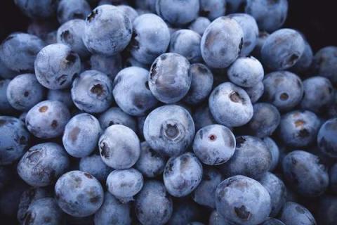 蓝莓是连皮吃还是剥皮吃 正确食用方法有哪些