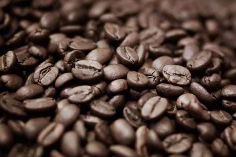 过期的咖啡豆直接放花盆做肥料好吗（过期的咖啡豆可以当花肥吗）