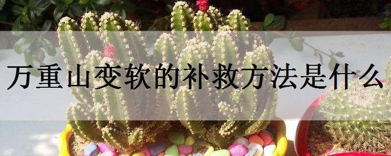 万重山变软的补救方法是什么（万重山变瘦变软怎么办）