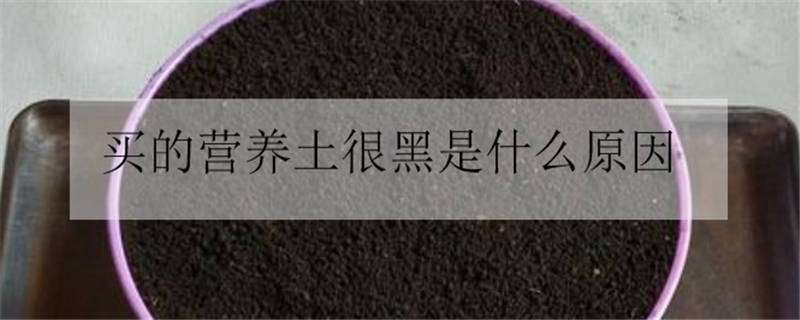 买的营养土很黑是什么原因 营养土颜色特别黑
