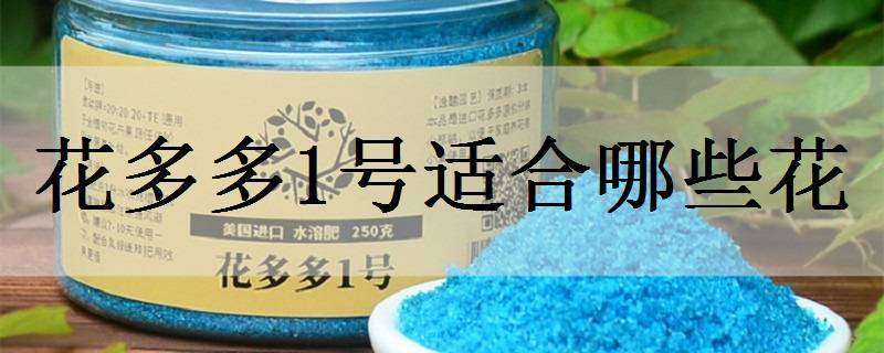 花多多1号适合哪些花 花多多1号怎么样