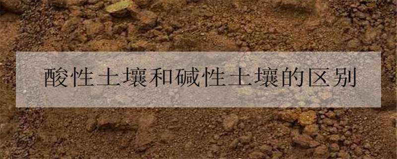 酸性土壤和碱性土壤的区别 酸性土壤和碱性土壤的区别:草原刁狼