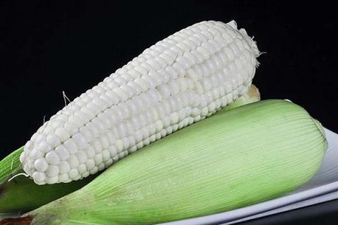 玉米一次性施肥多深 施加什么肥料好